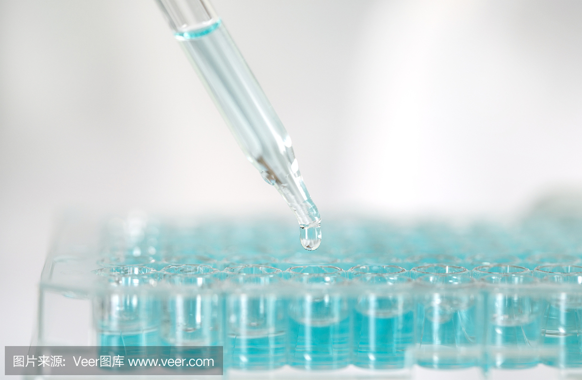 接近科学家工作在实验室分析蓝色提取的DNA分子在微管板,临床或科学测试分析概念