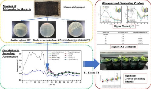 科学家在堆肥二次发酵过程中运用生物强化手段提高堆肥产品促生效果