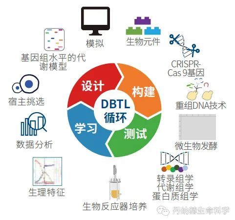 一文读懂合成生物学的那些事