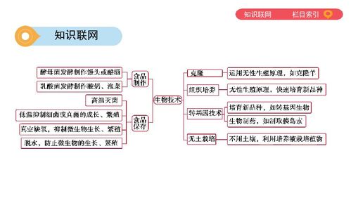 2020版中考生物一轮复习 泰安专版 专题六 生物技术 科学探究课件 41张ppt