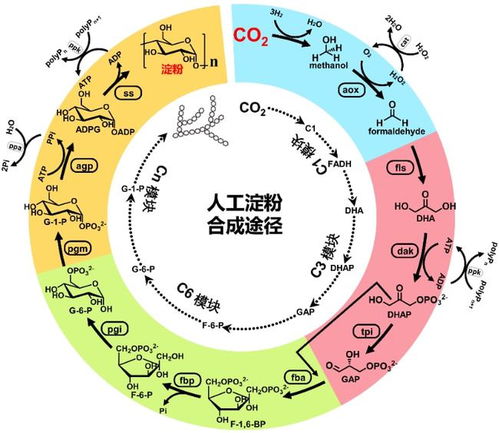 清华上科大复旦中科大浙大上榜 2021年度中国科学十大进展发布